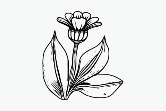 Flower Coloring Page Hand Drawing Vector Graphics